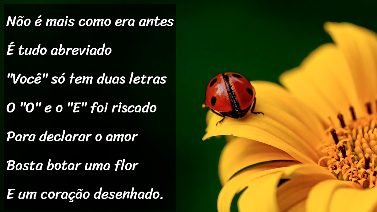 Projeto 2